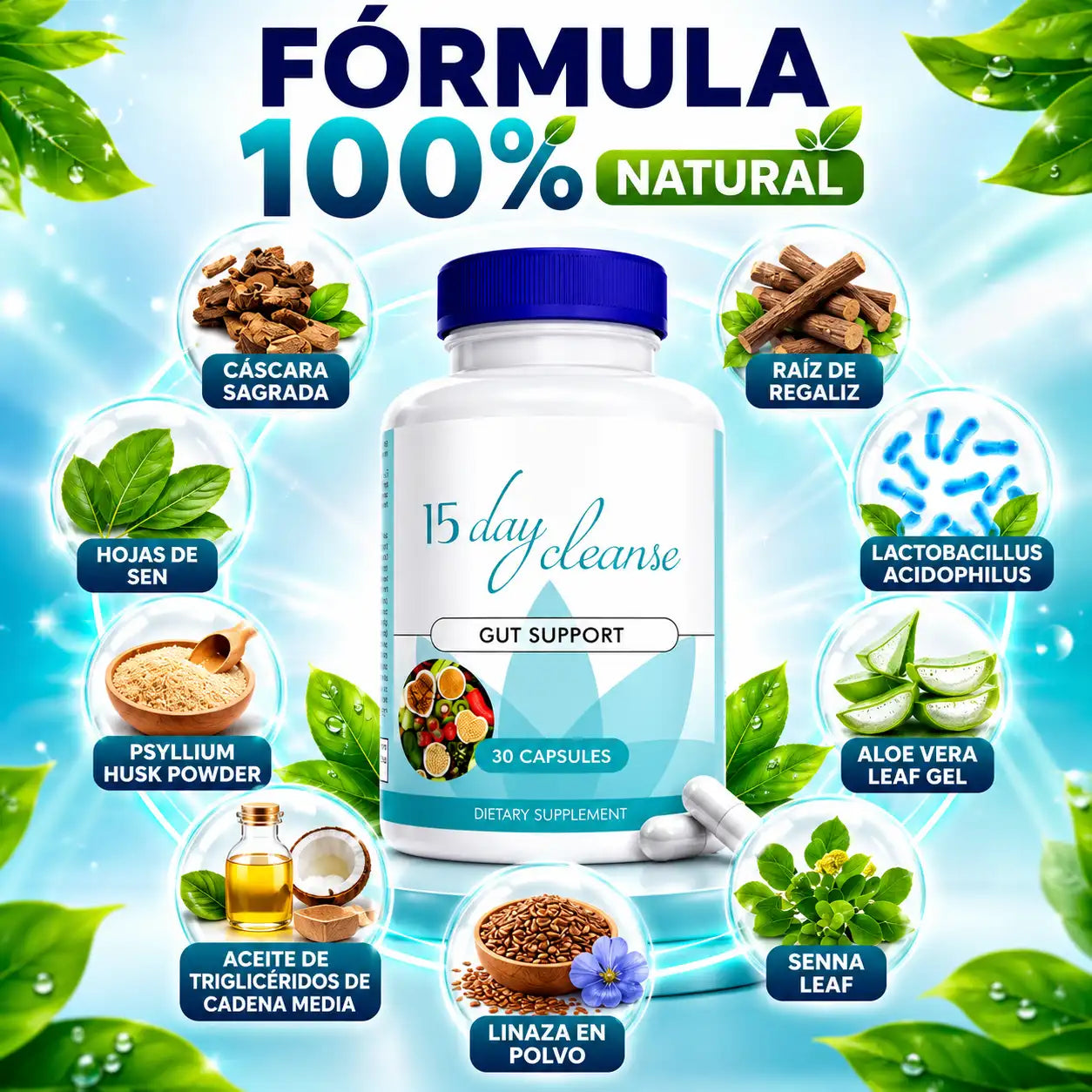 DETOX 15 DAYS CLEANSE - LIMPIA TU CUERPO EN 15 DÍAS 🔥